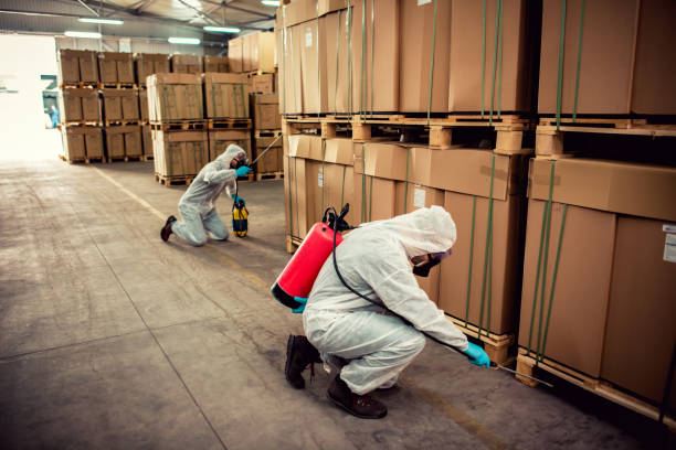 Professional Pest Control in Little River Academy, TX