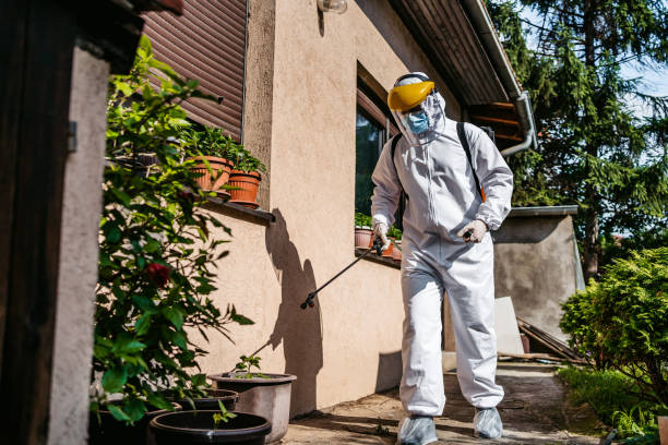 Pest Prevention Services in Little River Academy, TX